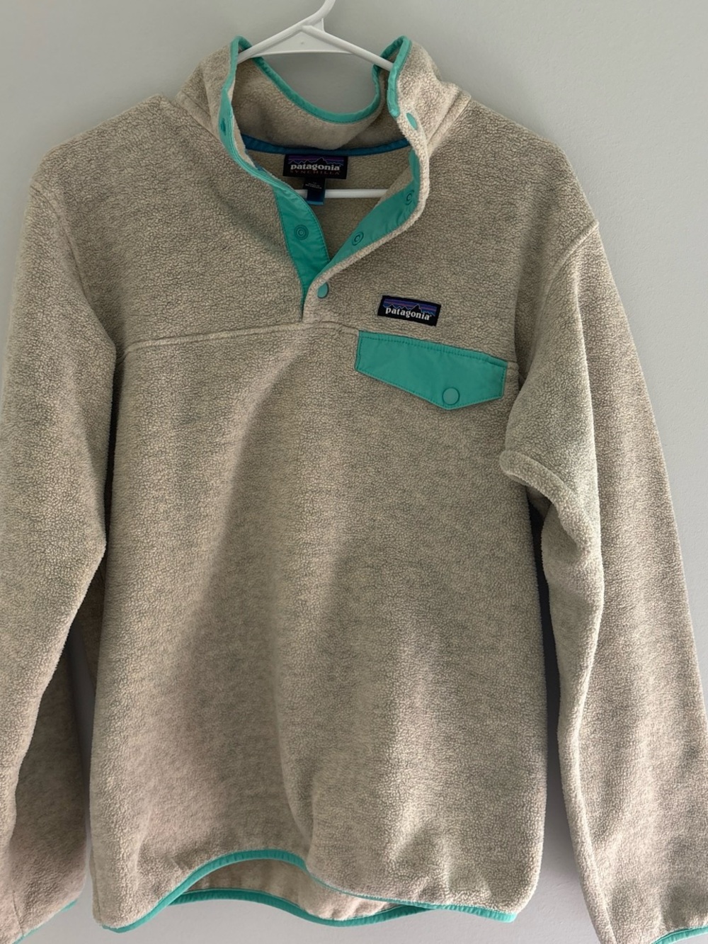 Patagonia Fleece Pullover in Beige with Teal Trim
